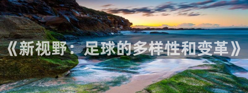 3377体育官网下载平台假的吗是真的吗:《新视野:足球的多样